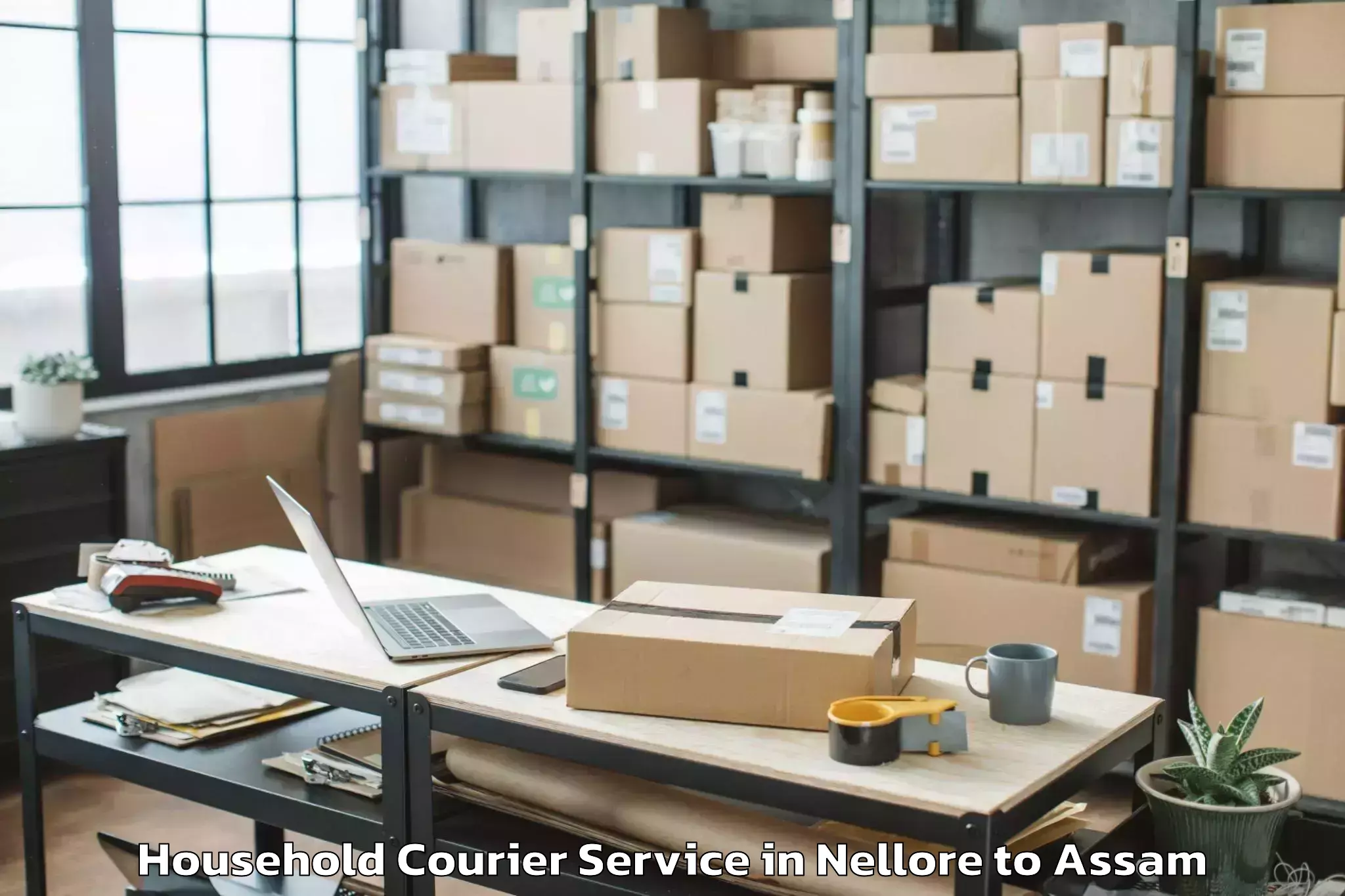 Book Your Nellore to Dhing Household Courier Today